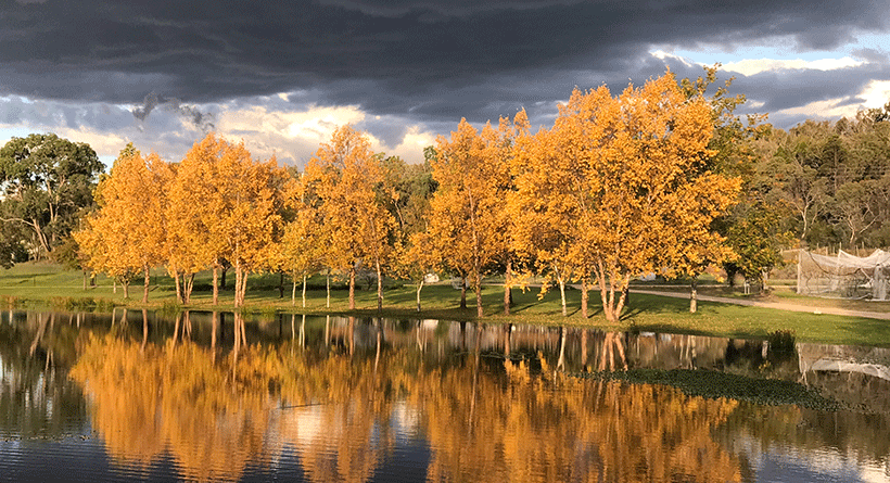 Hidden Creek Lake